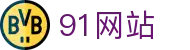 91网站 - 91浏览器
